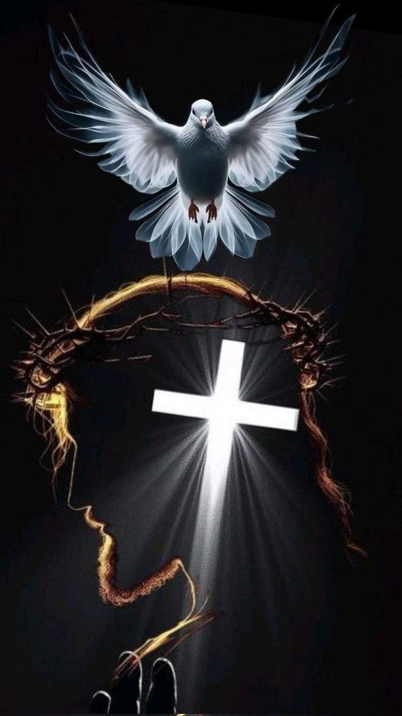 Decretamos en éste momento que el Espíritu de Dios está en el hermoso país de #Venezuela. El Padre, El Hijo y El Espíritu Santo se establecen ahora y para siempre en esa tierra amada.

Si así lo crees dale 🔁 y ♥️ a ésta publicación.

#Espiritualidad #Fe #Esperanza #MentePositiva