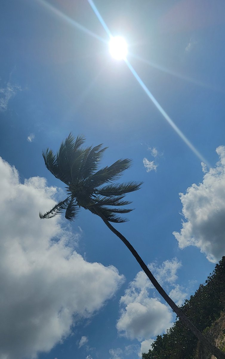 Mi Silencio ❤️ tweet media