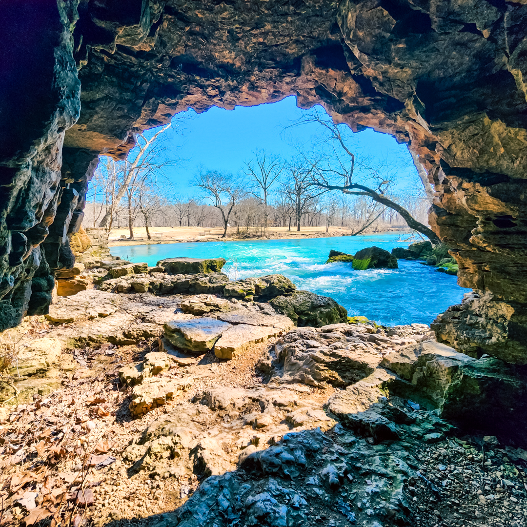 laketherapypics's tweet image. Letting go of the pressure to &quot;get the shot&quot; has been a good shift. I didn’t bring my big camera this time. Instead, I brought my curiosity and my very excited trail buddy. These phone snaps don’t capture it all, but they do capture a piece of the moment—and that’s enough.