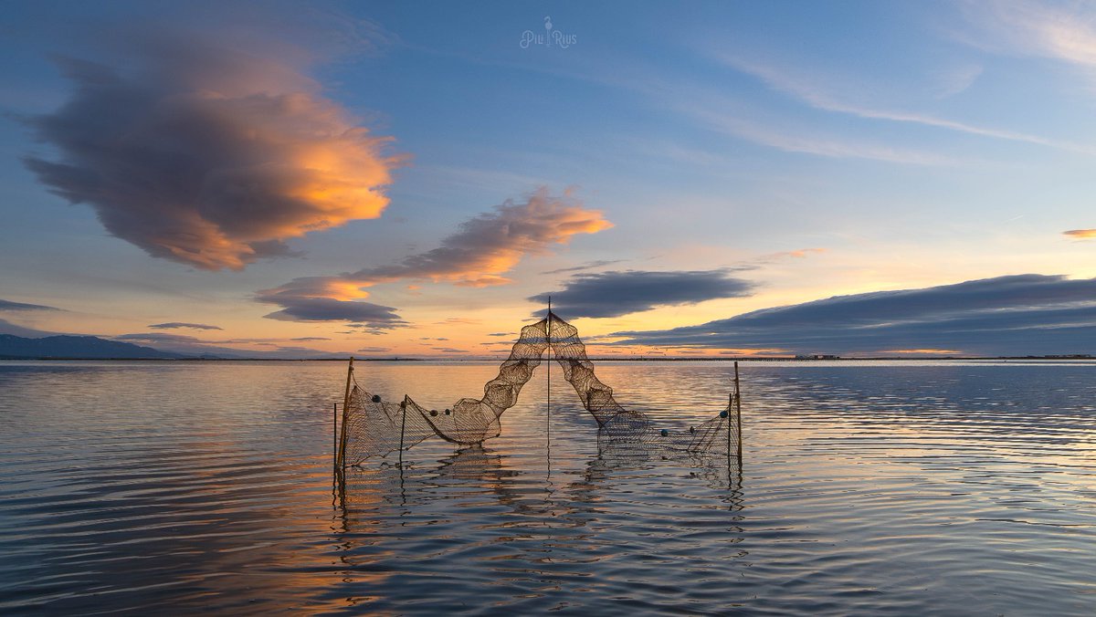 piliriuss's tweet image. Avui ens em llevat amb #altocúmuls #lenticulars al #deltadelebre @3CatInfoelTemps @mauri_francesc @Vakapiupiuu @tiempobrasero #tutiempo @ElTiempo_tve @SoniaPapell