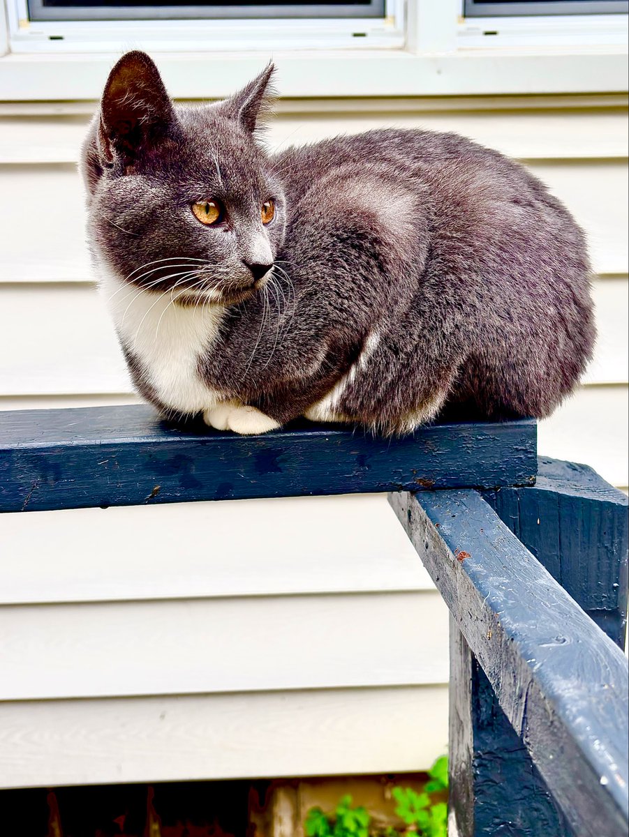 r_u_c_n_o_k_'s tweet image. 