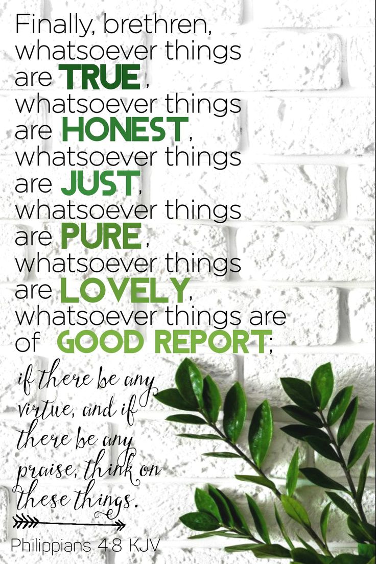 WildAtHeart46's tweet image. 🌤☕️happy Sonday!
When our minds camp out in Phil. 4:8, it’s amazing how peace grows.🍃🍃
Gratitude steadies our hearts, forgiveness unclutters our minds, and encouragement is like verbal sunshine! 🌞As we choose what to dwell on, peace usually chooses us right back.