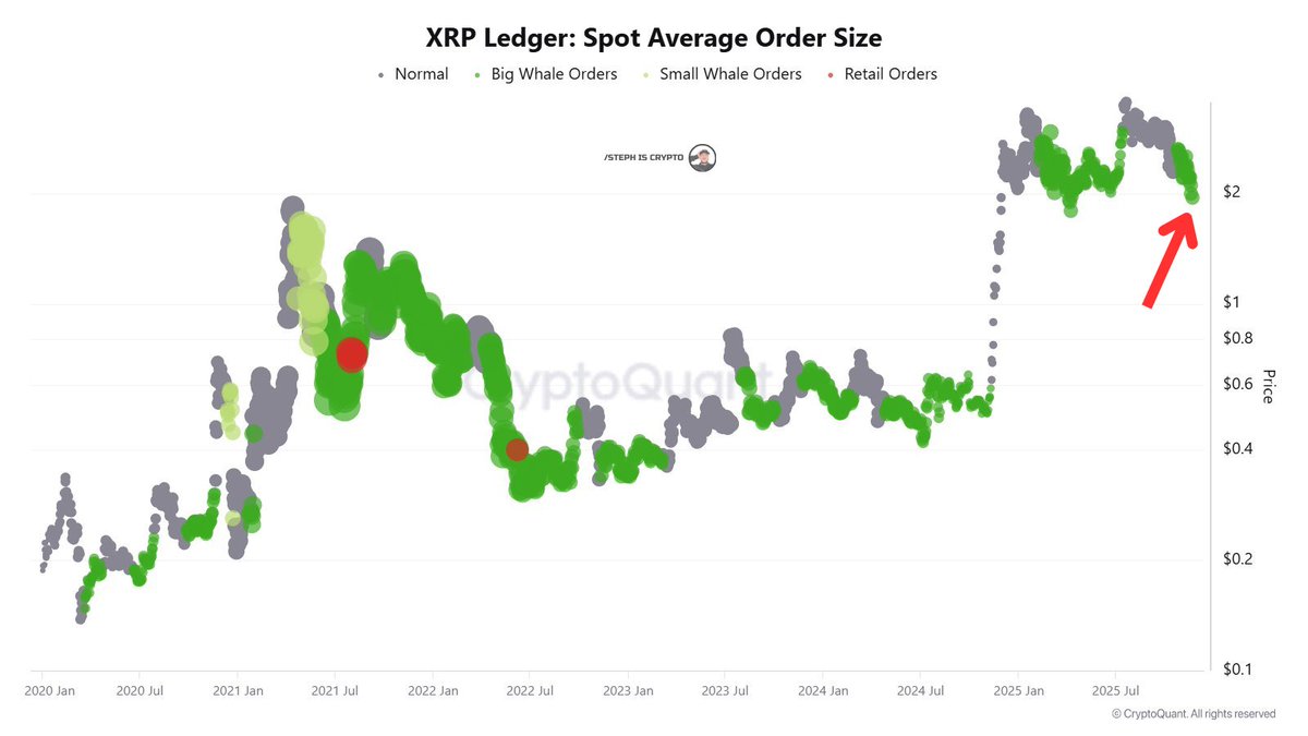 💥BREAKING: WHALES ARE QUIETLY SOAKING UP $XRP WHILE PRICE BLEEDS. MEGA  BULLISH!