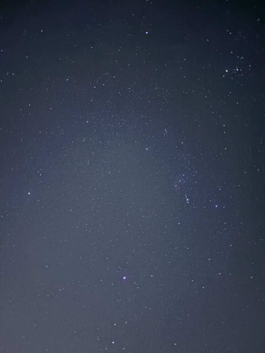 wakameudon1010's tweet image. 