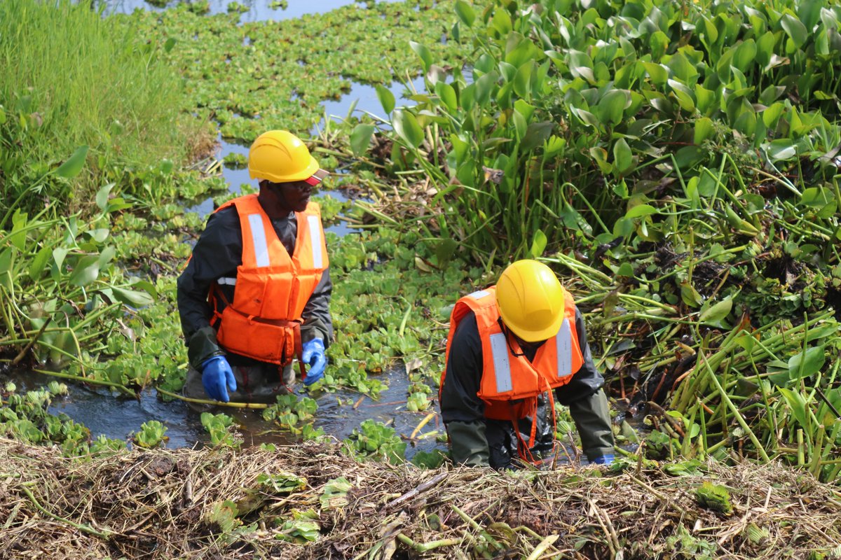 PFCIGL RDC tweet media