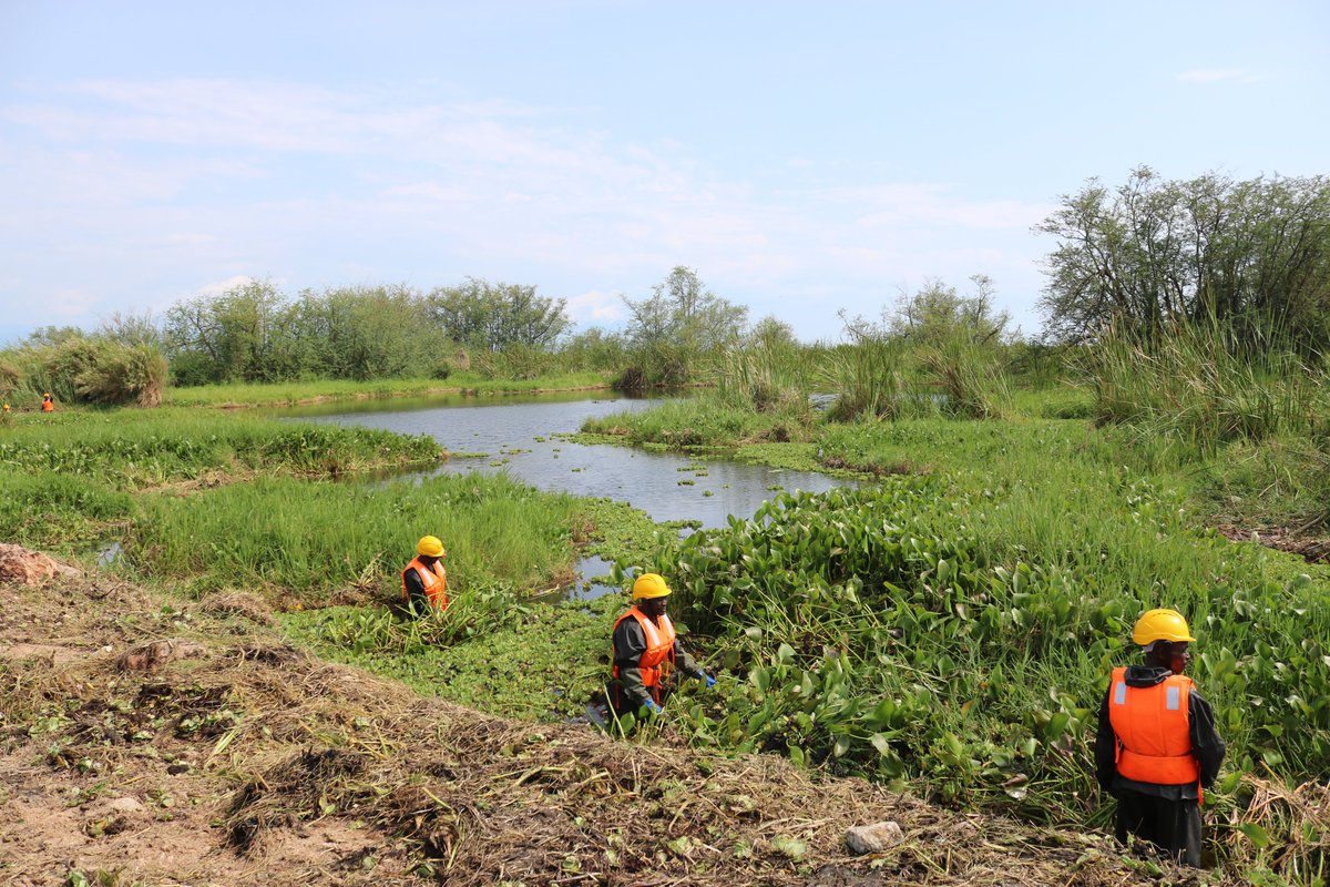 PFCIGL RDC tweet media