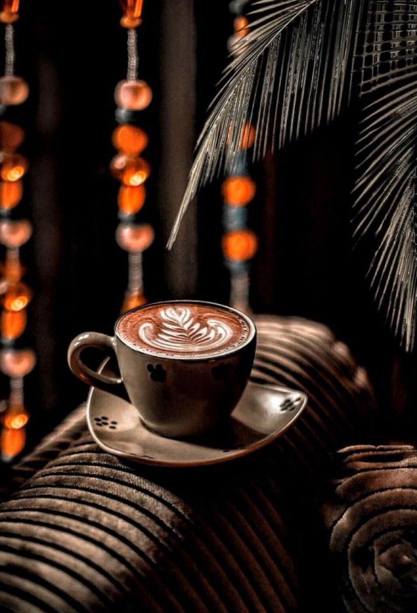 -
كل الإنتماء لِـ الليالي المطمئنة 
 تلك التي يحفُّها الهدوء و القهوة والسكون من كل ناحية 🧡
..