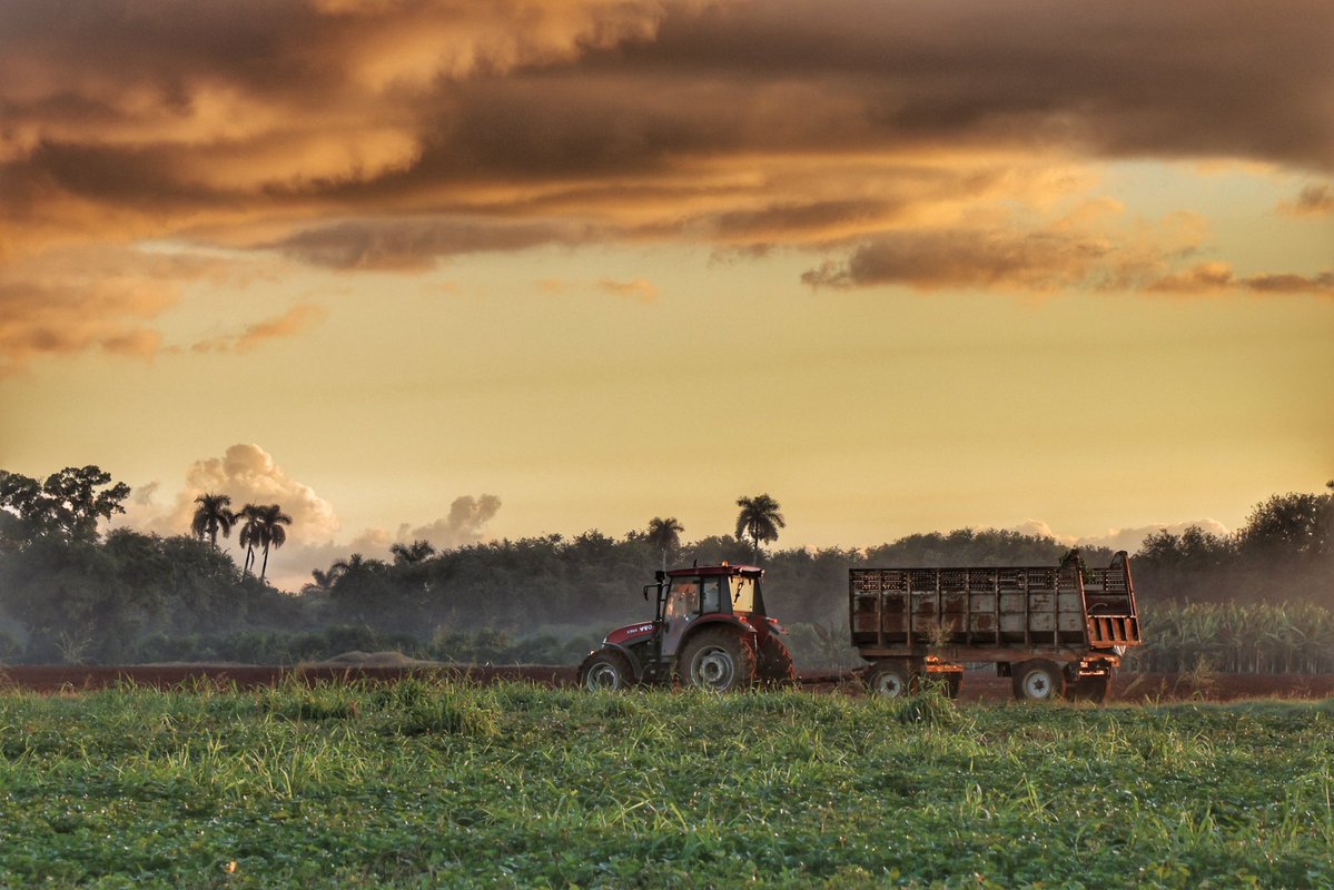 <a href="/Cuba_CTC/">Central de Trabajadores de Cuba</a> <a href="/Colina_CTCuba/">Miguel Colina</a> 🗣️| Hay que trabajar y mucho, tanto en la recuperación del Oriente del país como en la higienización de barrios y centros de trabajo ante la complejidad epidemiológica. Trabajar, producir, crear y pelear es el mejor resumen de estas horas, concluyó Colina.
