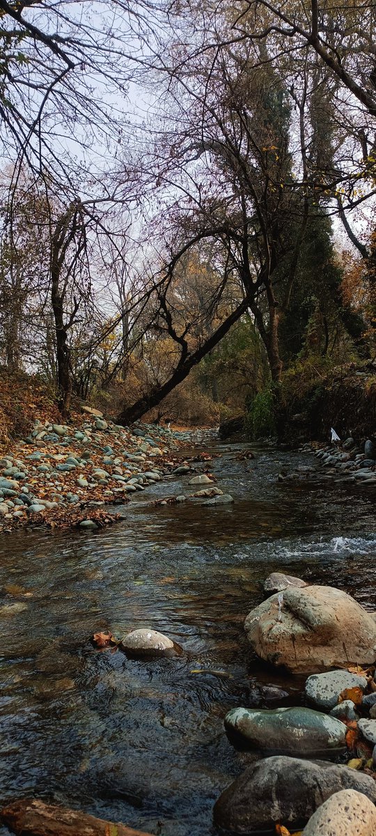 tullar_'s tweet photo. This and never opening LinkedIn ever again. 🫶🏻🍂🍁 https://t.co/akyFxoJg0W