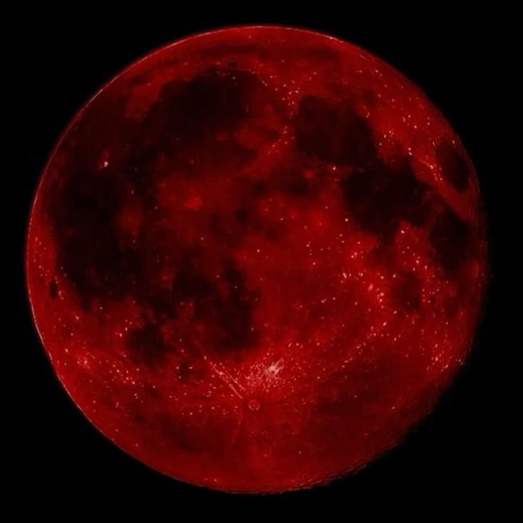 luamamorcegos's tweet image. ⋮ ⌗ || #𝖧𝖤𝖷𝖠𝖳𝖮𝖬𝖡𝖤𝖠𝖴 #labiar || 𝐀𝗆𝗂𝗀𝗈 𝐒𝖾𝖼𝗋𝖾𝗍𝗈 🎅 ⸝⸝ 

𝐎𝗇𝖽𝖾 𝖺𝗉𝗈́𝗌 𝗎𝗆 𝖻𝗈𝗆 𝗍𝖾𝗆𝗉𝗈 𝖽𝖾 𝖽𝗂𝗌𝗍ân𝖼𝗂𝖺 𝖾 𝗌𝗂𝗅ên𝖼𝗂𝗈, 𝖺 𝗆𝖺𝗀𝗂𝖺 𝖽𝗈 𝖭𝖺𝗍𝖺𝗅 𝗉𝗋𝖾𝗍𝖾𝗇𝖽𝖾 𝗎𝗇𝗂-𝗅𝗈𝗌 𝗇𝗈𝗏𝖺𝗆𝖾𝗇𝗍𝖾 . . .  ⊹₊˙.