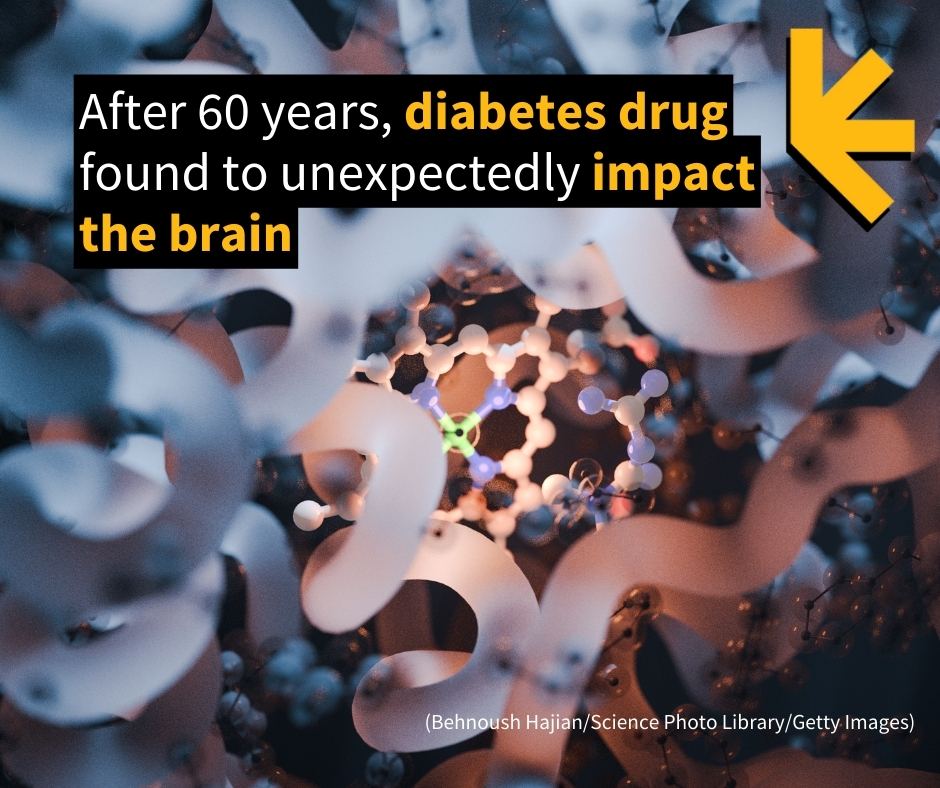 ScienceAlert's tweet image. This also ties into other interesting studies that have found the same drug can slow brain aging and improve lifespan. @bcmhouston
sciencealert.com/after-60-years…