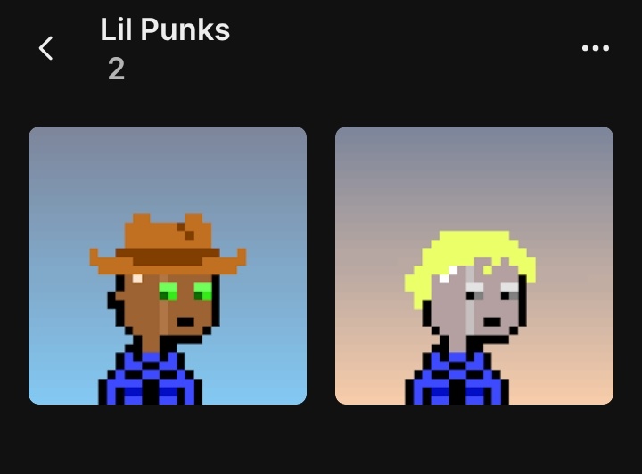 Was supposed to post this yesterday but was really down due to the weather
Minted these beauts (They're prolly Brother cause of the same shirt lol 😆)

I'll probably Coop some more from Secondary for the Culture 
Do Lil punks follow Lil Punk
Thanks for the Alpha <a href="/verchi_sol/">verchi.base.eth</a>
GM CT