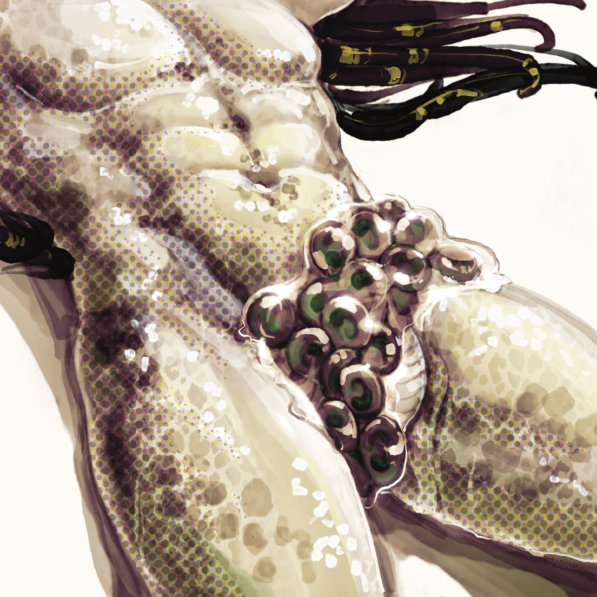 nerioneraso's tweet image. Just some practice from ref
#predator