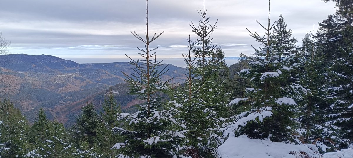 Bonjour à tous, bon dimanche