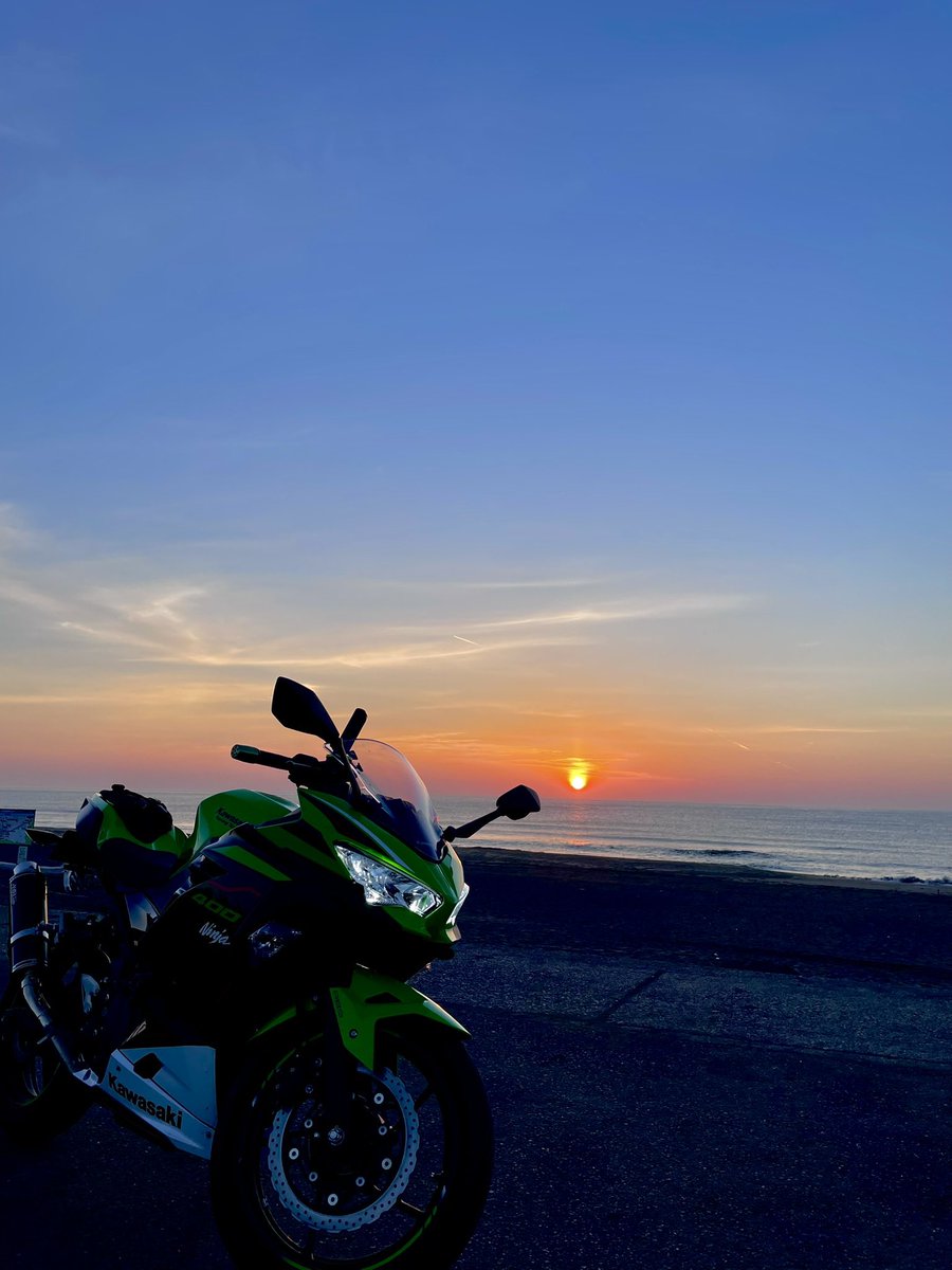 むたん tweet media