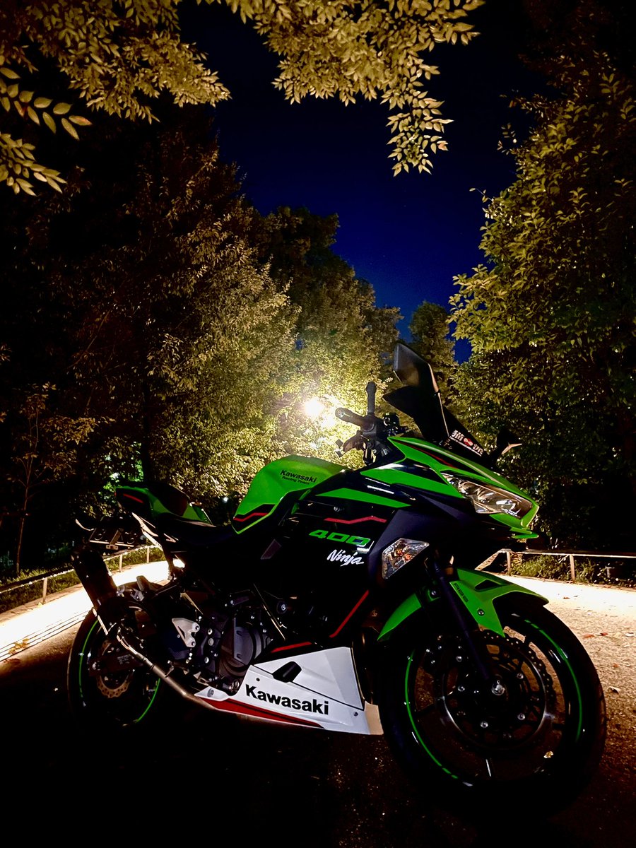 むたん tweet media