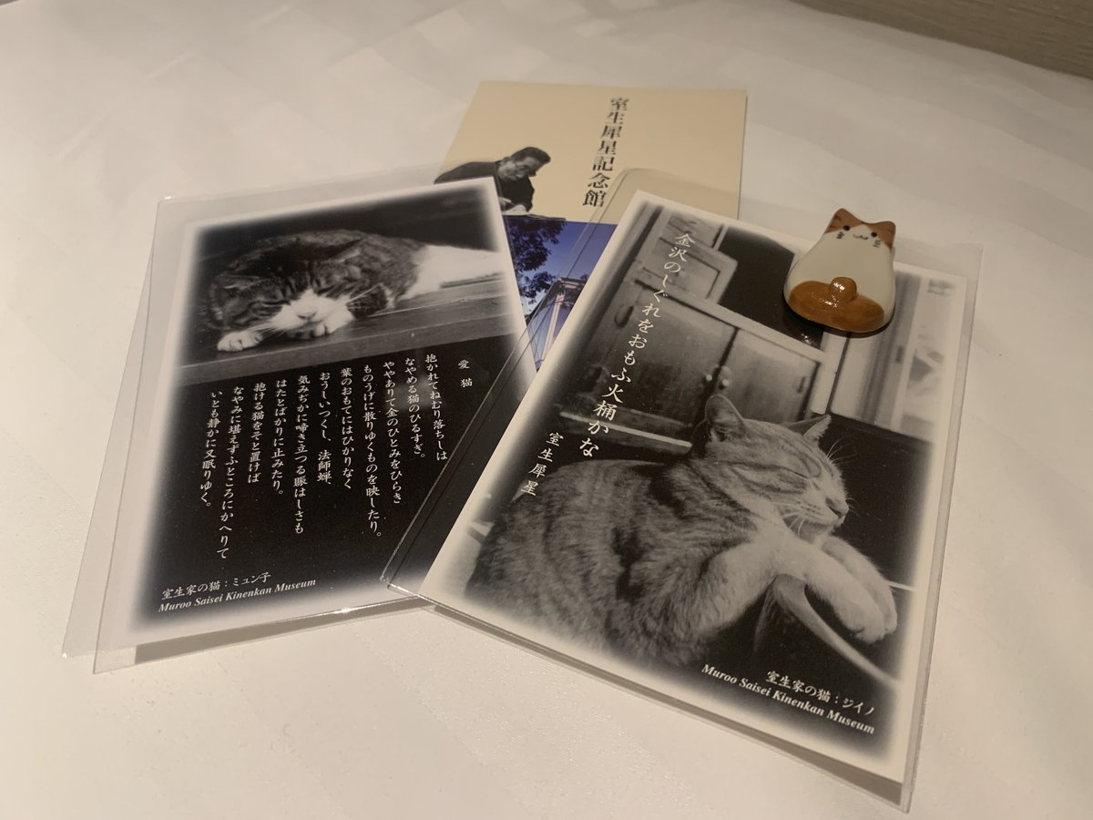 kuroneko1996s's tweet photo. 犀星さんちのジイノとミュン子 https://t.co/RM3axlCpAS
