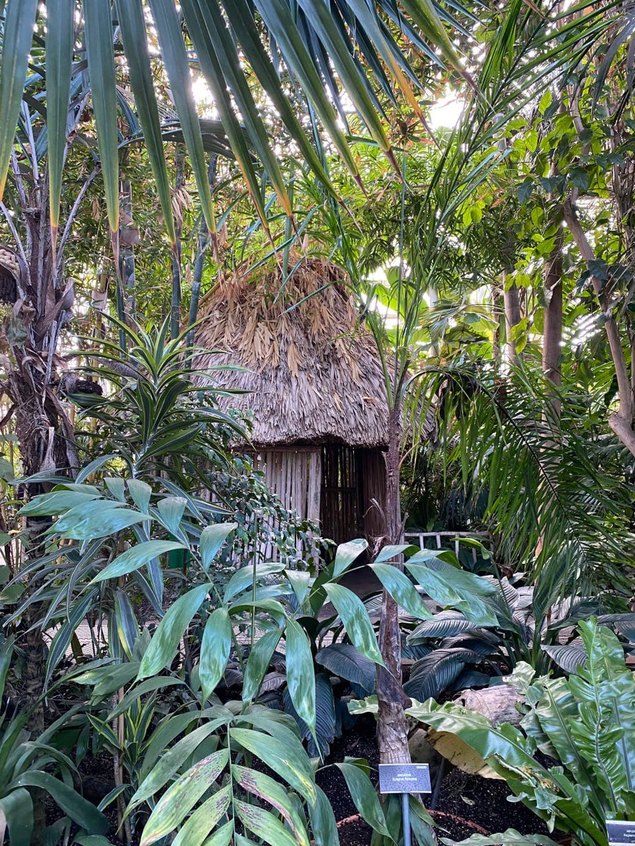 SecretsofMy's tweet image. Good morning, a small house hidden deep in the greenery, like a secret left behind in the human world.