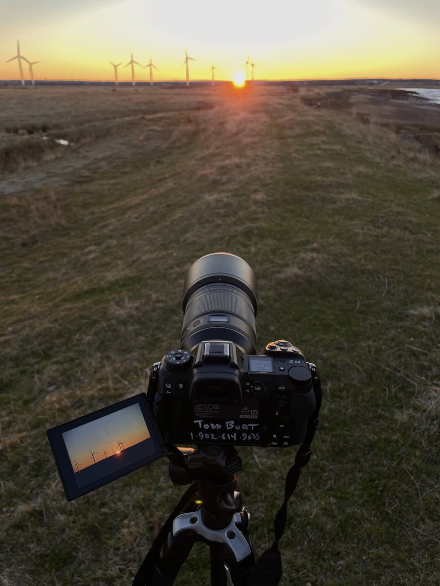 Out Early on a Sunday Morning