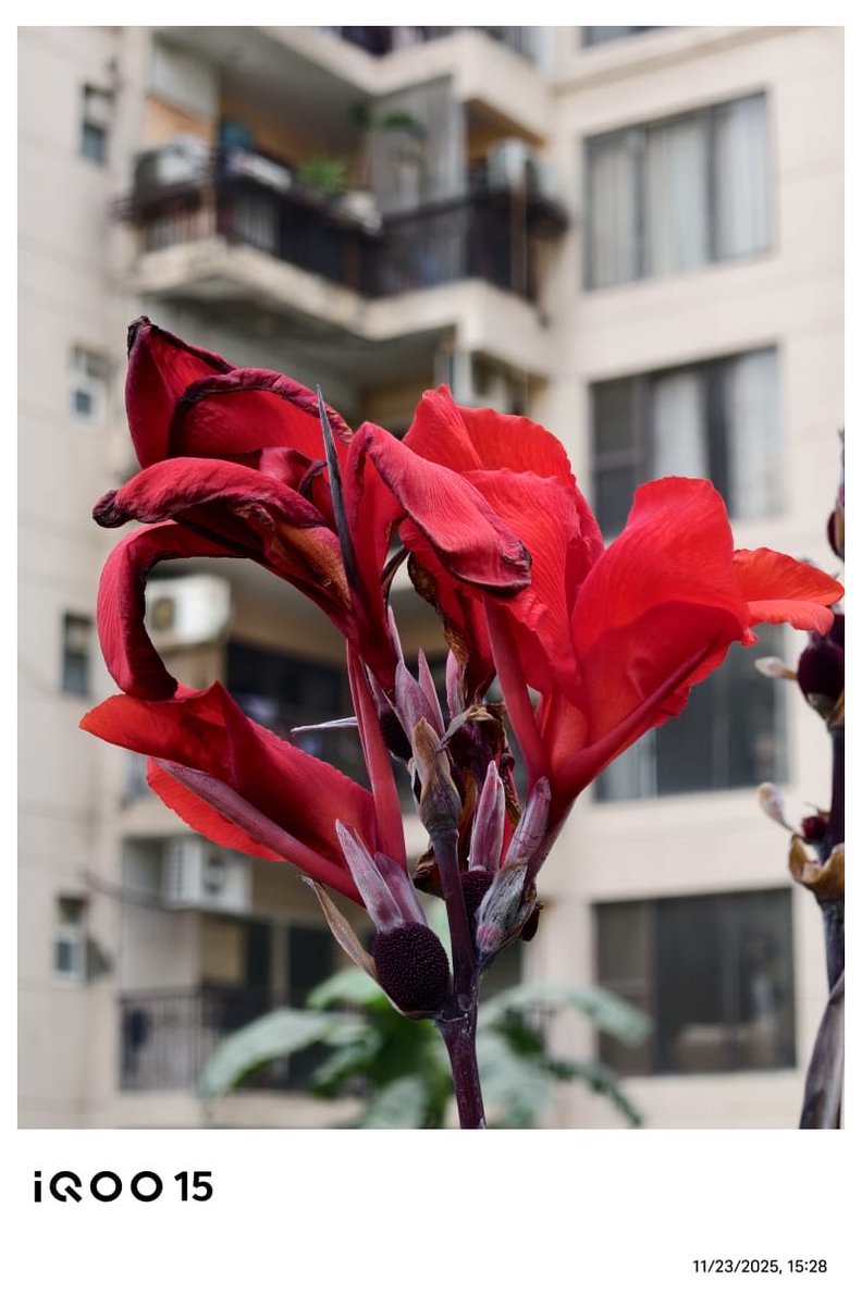 Trolling_isart's tweet image. 👀