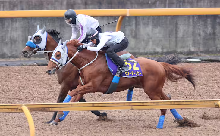 keiba_info_club's tweet photo. ウォーターリヒト

11〜2月【3-2-4-0】
3〜10月【1-0-0-7】

寒い時期の複勝回収率は652.2%。来年2月以内に出走なら買いたいです

2024.1.8  シンザン記念　17人気　3着
2024.2.4  きさらぎ賞　10人気　2着
2024.11.23  キャピタルS　8人気　1着
2025.11.23  マイルCS 15人気　3着←NEW!!