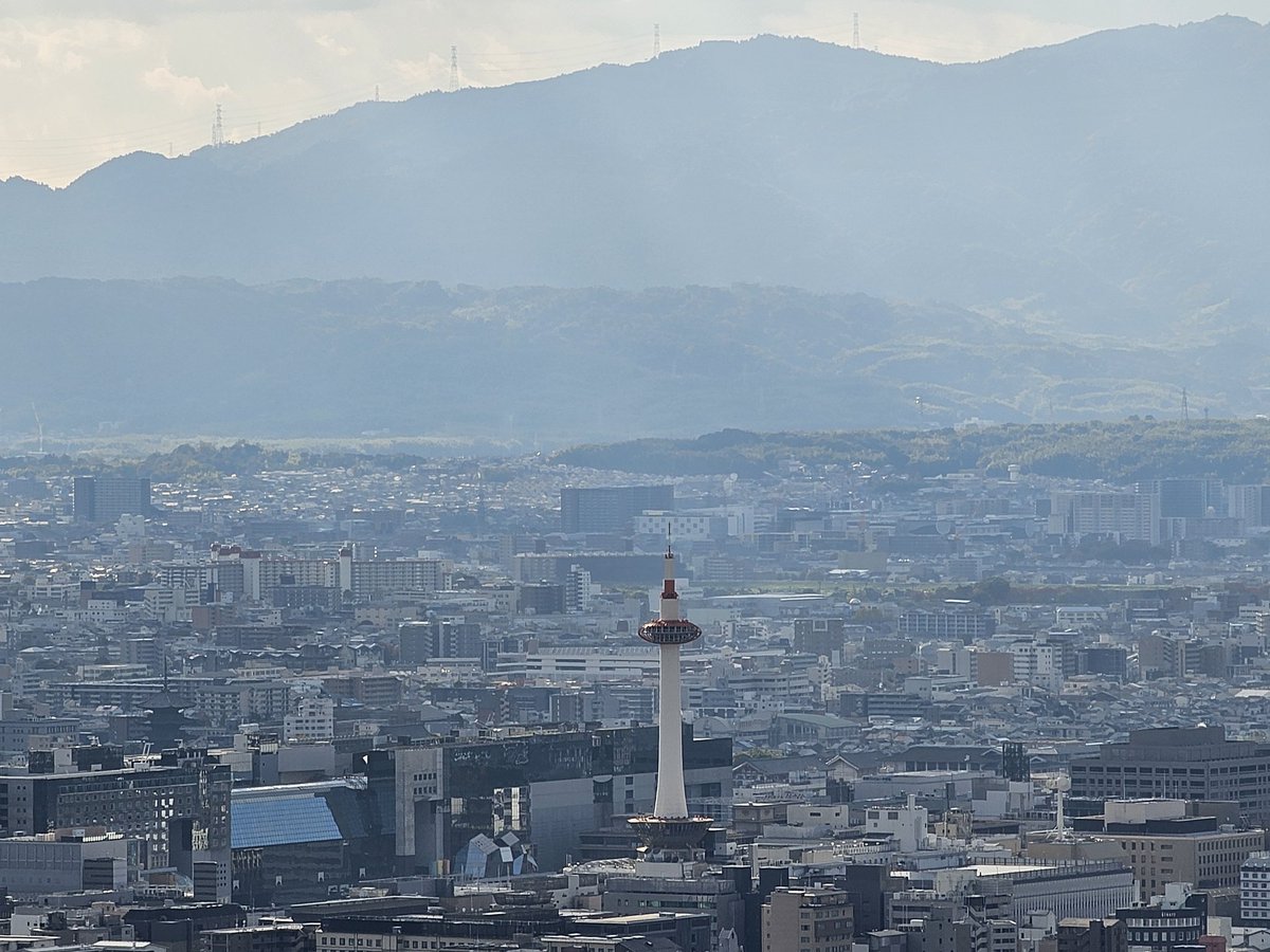 Dosym Satpayev tweet media