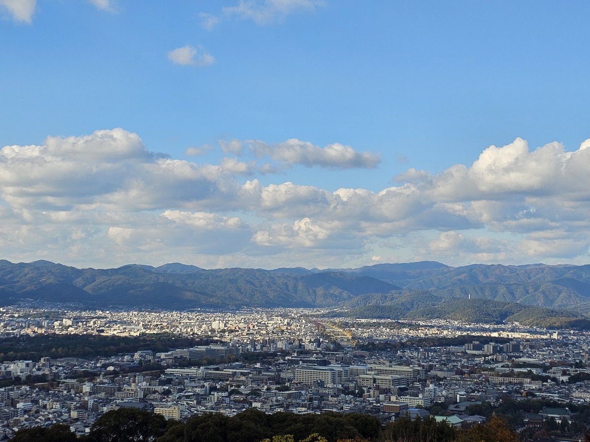 Dosym Satpayev tweet media