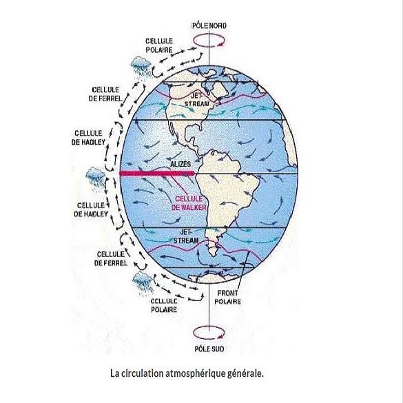 vinclefevre's tweet image. Tu comprends mieux maintenant #petitfrigo #communal et #autres 56 #tardlesoir #àterre, #surleau c&apos;est + risqué, je trouve from #pk195 #toutelannée #territoirevrai #culture #éducation #apprentissage #donnerdusensàsavie #éveildessens #réveildessens #classepk195 🙂