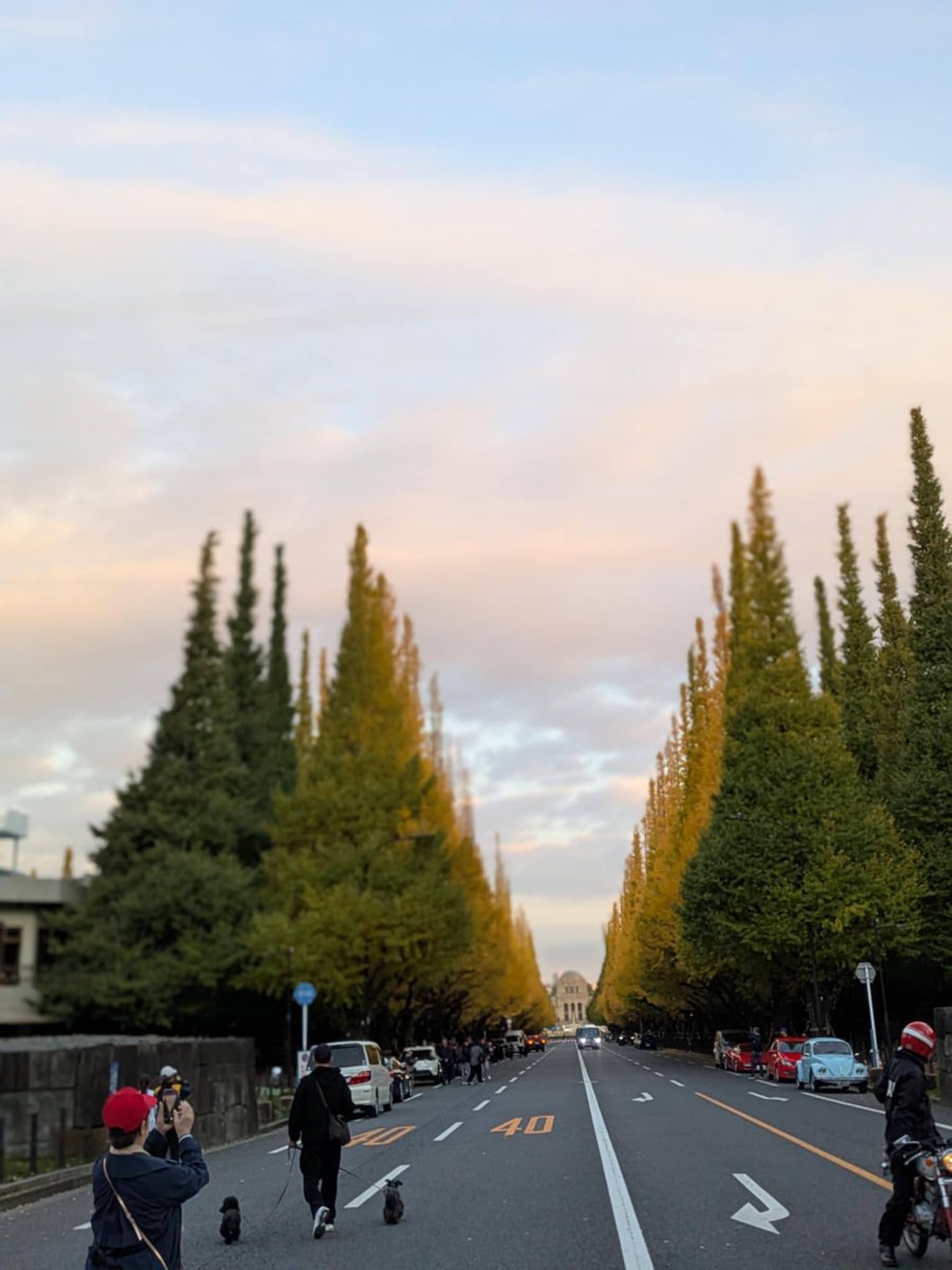 t_10_a's tweet image. ご存知の方はご存知ですが、最近私は毎日日の出でランニングしています。

なんで急に？とよく言われるので、ここに至るまでの経緯を詳細に記したいと思います。

元々は会社の健康診断の結果で1項目だけC判定があり、考えられるのが有酸素運動不足だったことです。（不足というかゼロでした）…