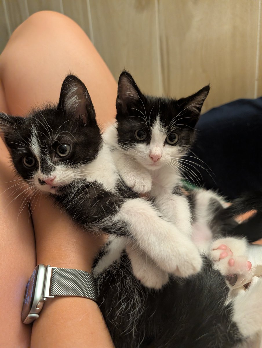 Two peas in a pod 🫛