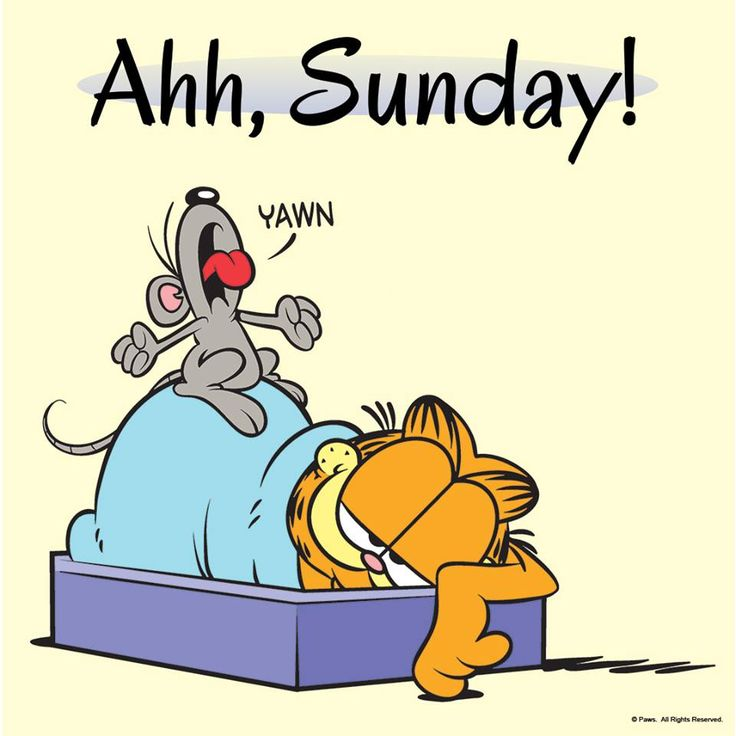 GarfieldCoinICP's tweet photo. Lazy Sunday unlocked — hope you’re recharging just as hard as our orange king.
#GarfieldCoin #SundayMood #ICP https://t.co/pGbmQASLp7