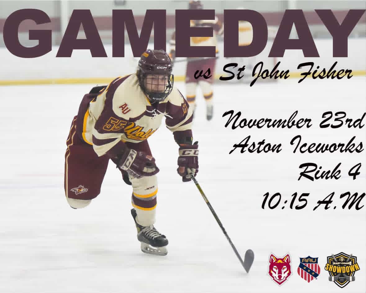 Alvernia Men’s AAU Ice Hockey tweet media