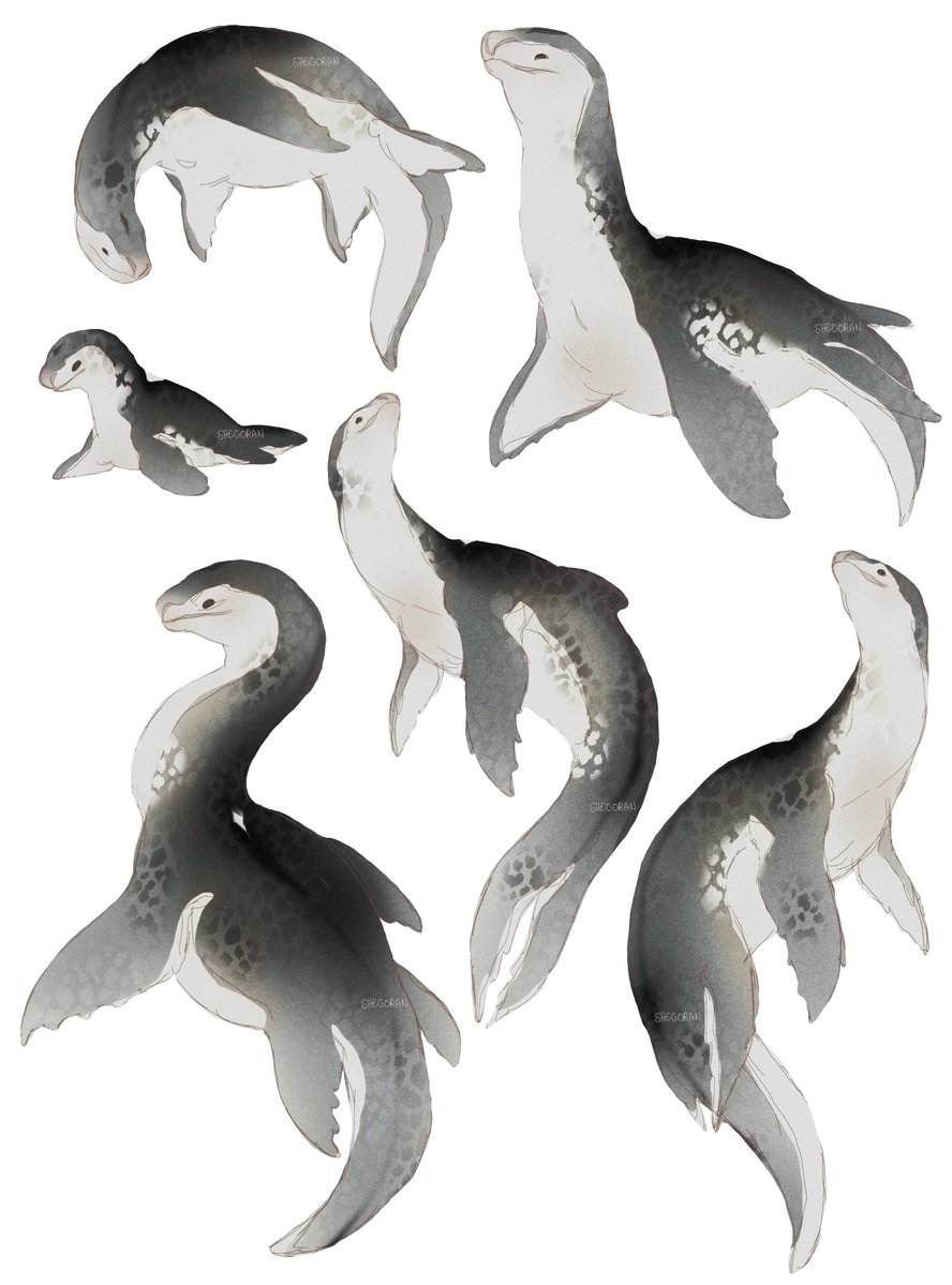 shegoran's tweet image. Nessie/plesiosaur X snow leopard sketches