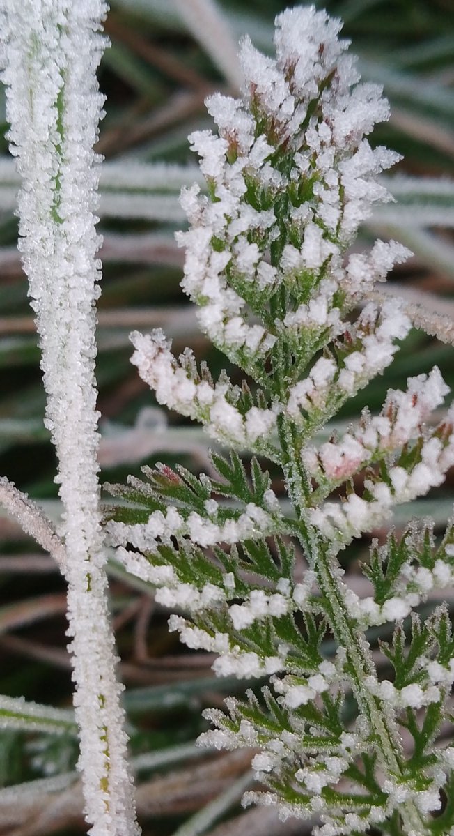 EwelinaSkalsky's tweet image. #weekend, #autumn, #nature