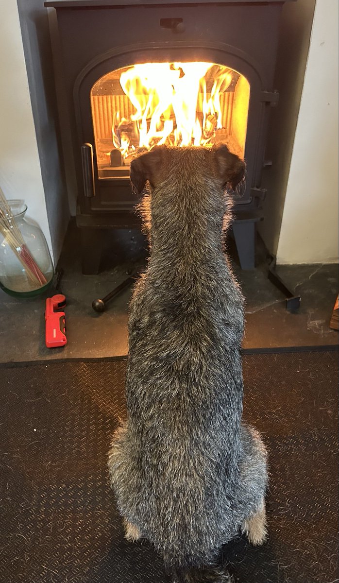 MrsLC_'s tweet image. This is now my fire 🔥

#BTPosse
