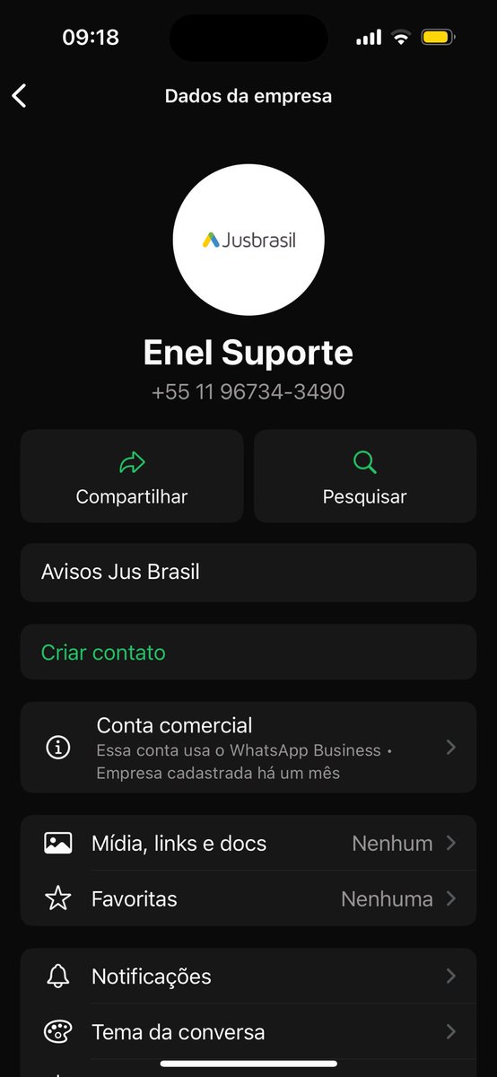 QuequelCC's tweet image. Eles nem pra organizar o nome e o ícone quando vão dar golpe