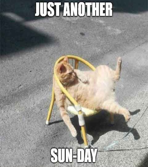 devmodeXD's tweet image. 🙂‍↕️