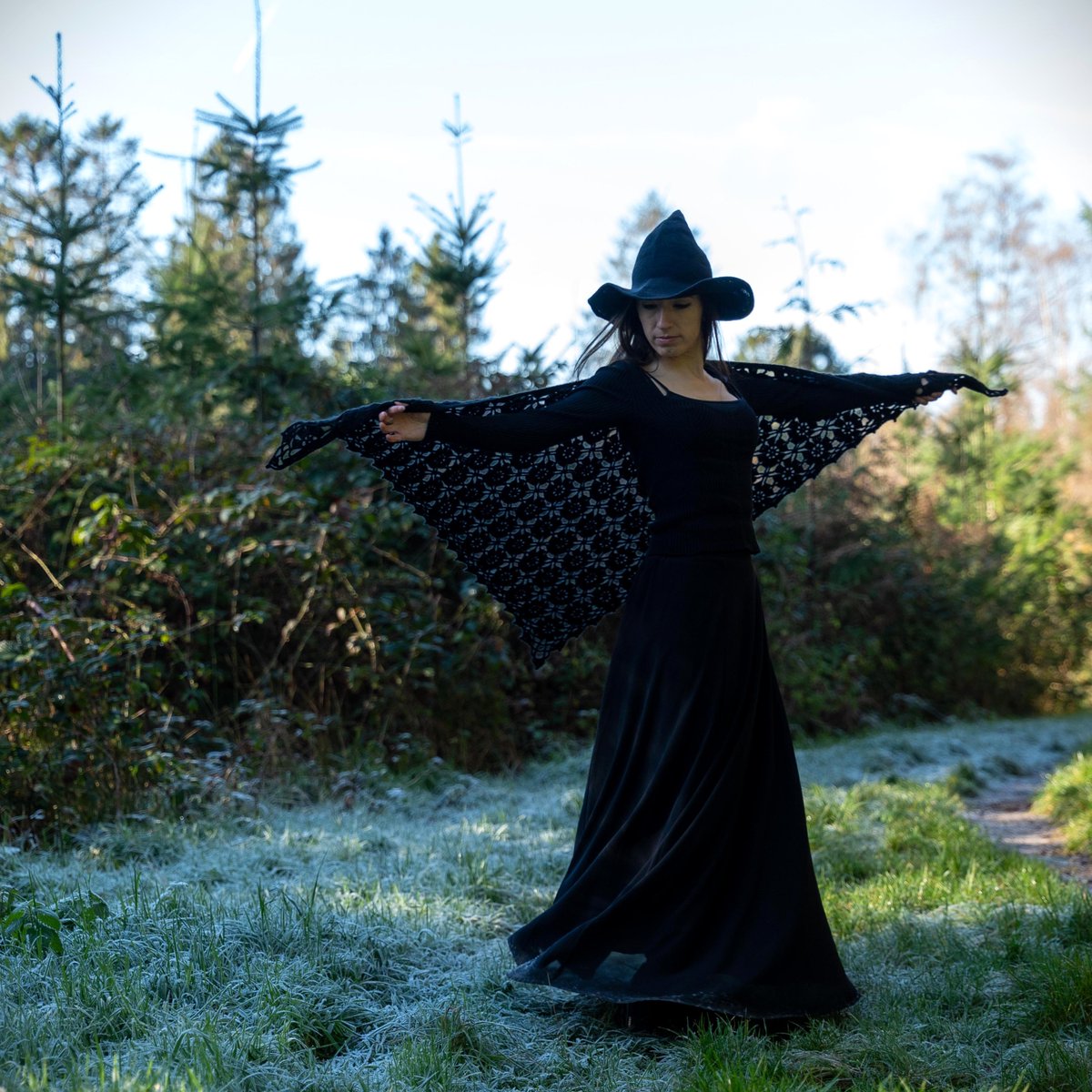 MagpieintheMoonlight tweet media