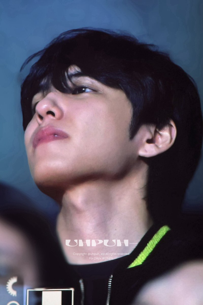 딱필이.. tweet media