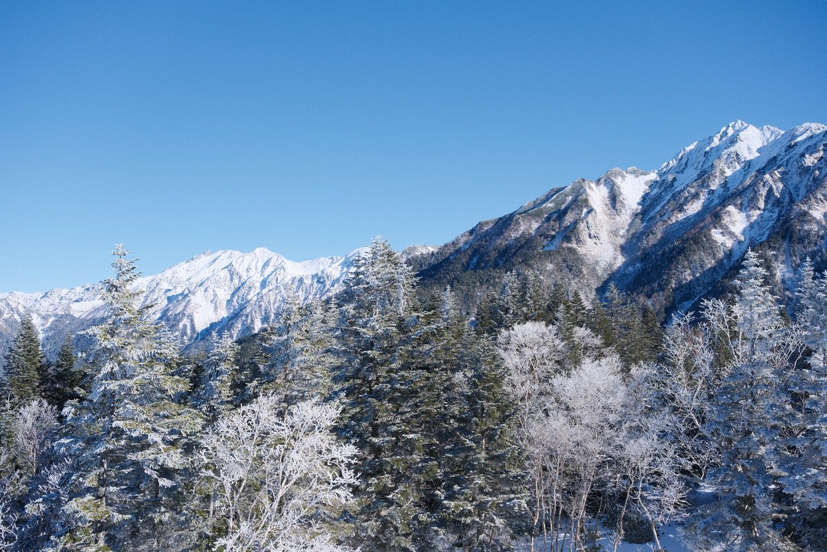 MimeOsen's tweet image. Jour 13 au Japon : courage de se lever à 6h45, météo atroce, et puis le miracle, le soleil semble apparaître à l’horizon. Bus de 40 minutes en rase campagne, queue pour le téléphérique, et nous voici à 2200 mètres d’altitude dans la neige, la tête au-dessus des nuages