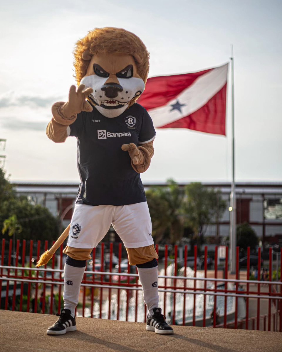 Futebol Paraense tweet media