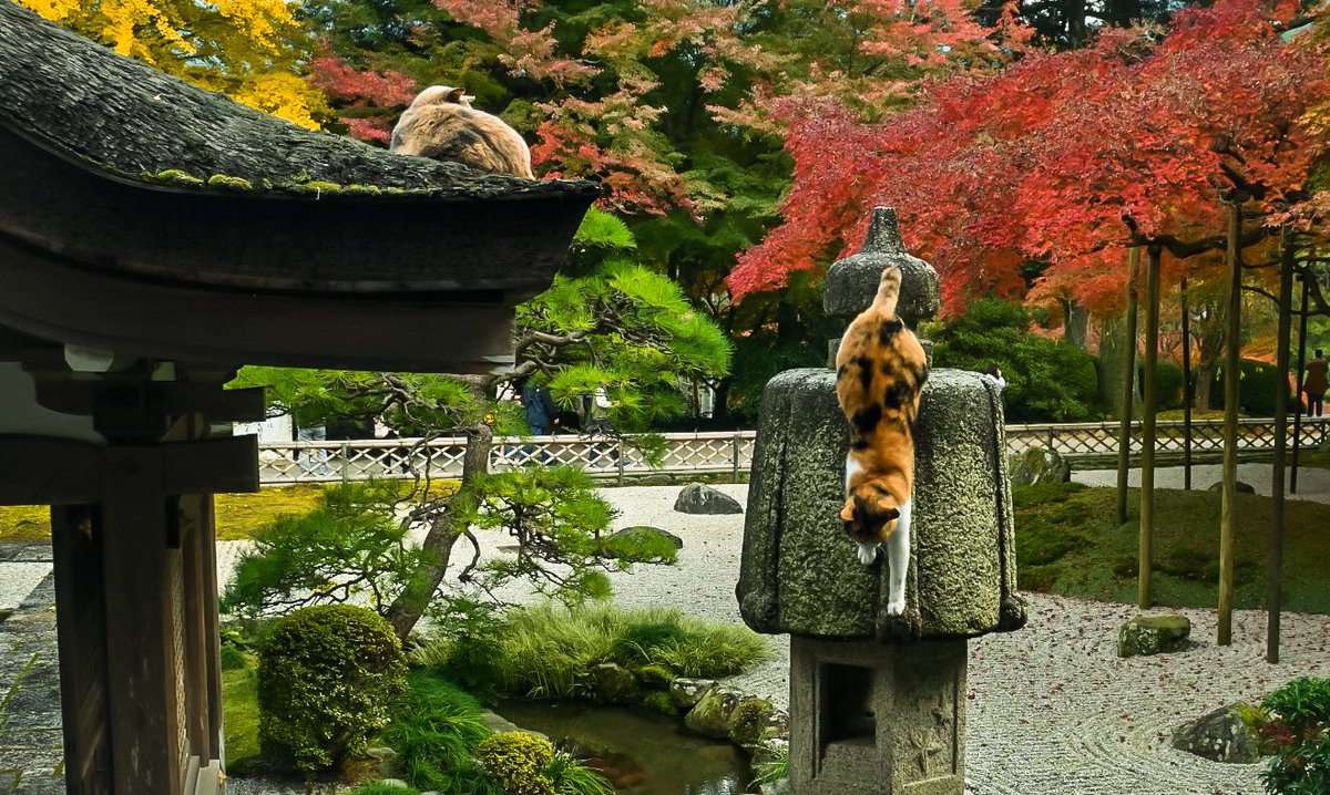 みーにゃ (@n0e8a2r4note) / Posts / X