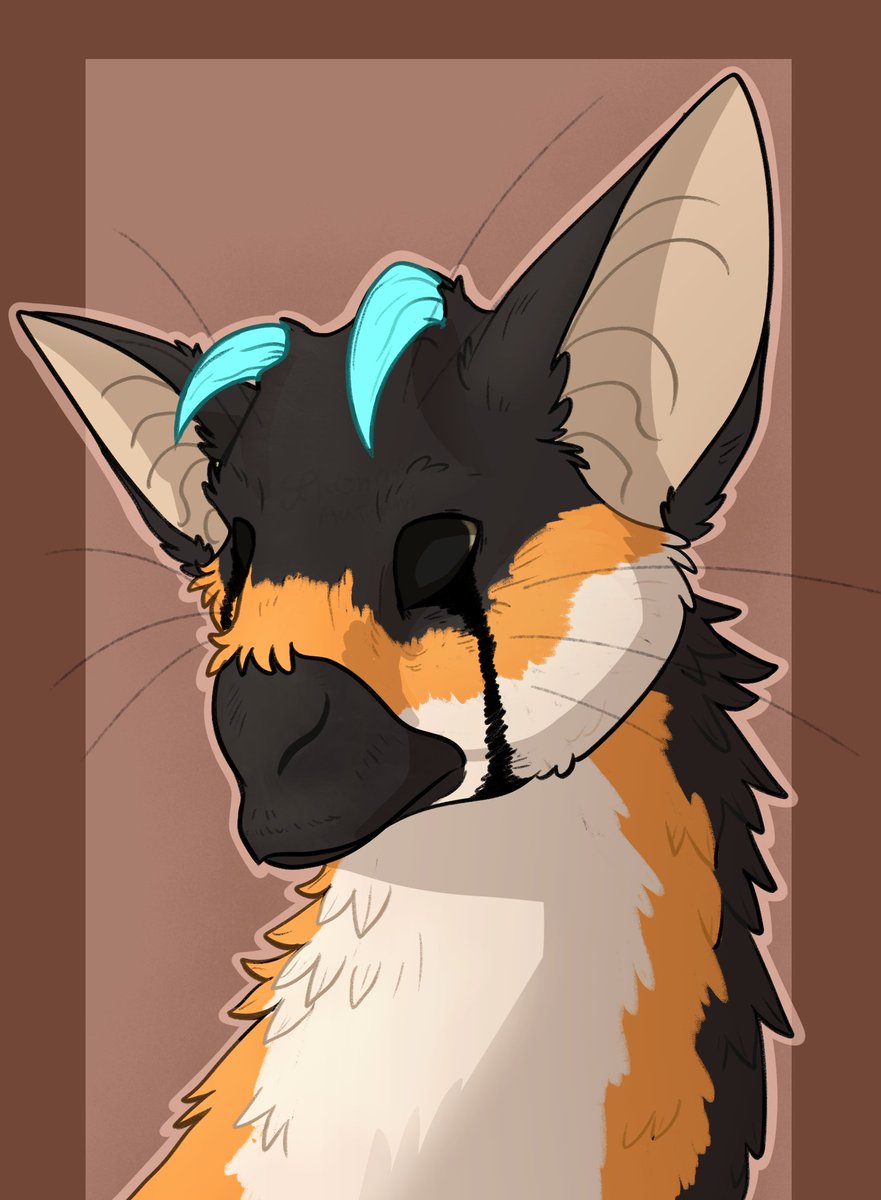 SplashOfAutumn tweet media