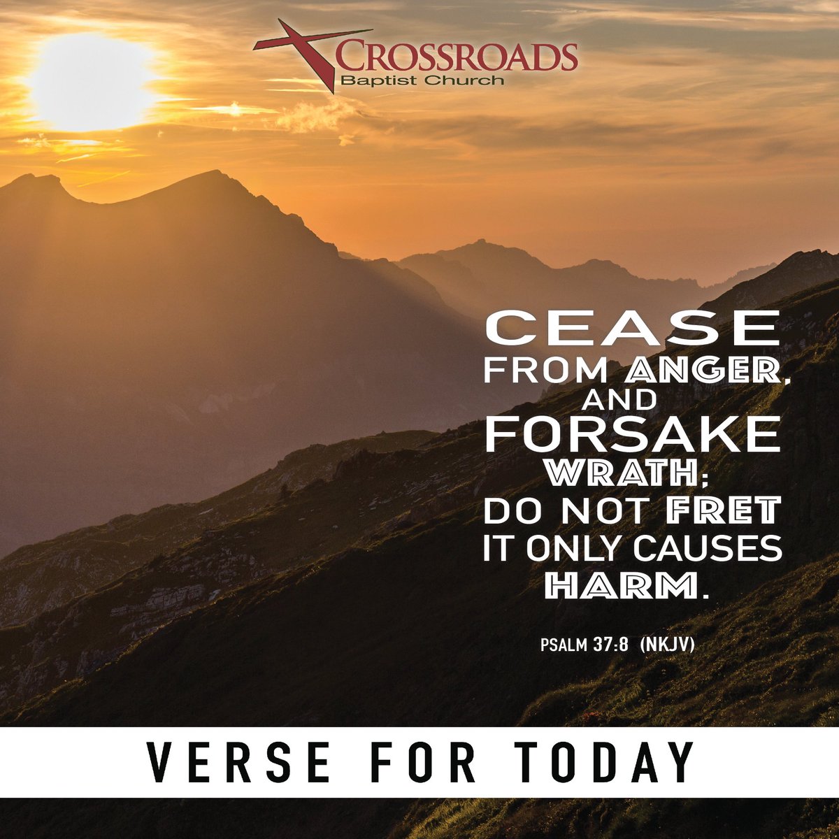 crossroadsbc's tweet image. 