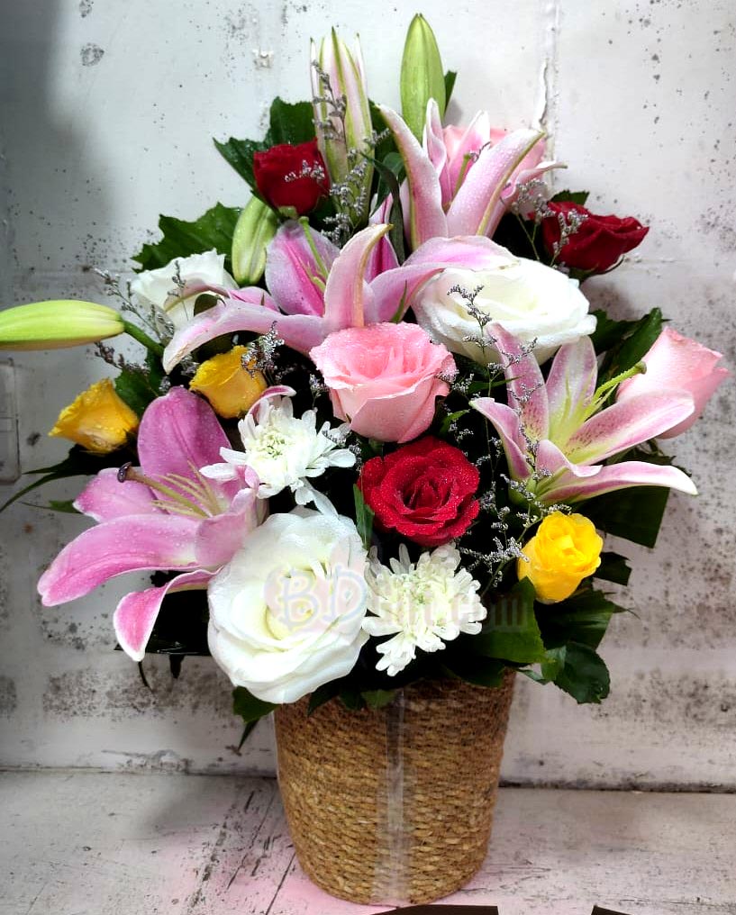 BDGift1's tweet image. 💐Send a stunning mix flower basket with pink lilies, mix color imported roses &amp;amp; fresh white mums to your loved one in Bangladesh!❤️
🌐 Order now: bdgift.com/products/13046…
#MixFlowerBasket #bdgift #FlowerDeliveryBD #ImportedRoses #SendLove #BangladeshGifts