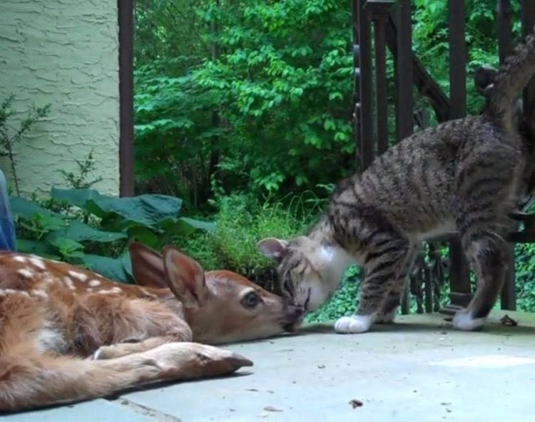 prtygal777's tweet image. a heart that’s big and soft enough to love everyone.