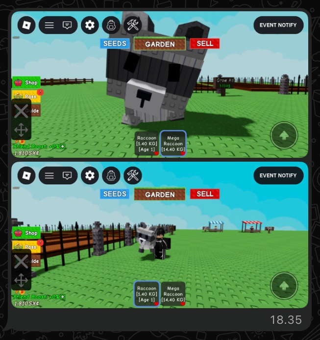 cloudeyss's tweet image. wts racoon pet roblox 
take it all 100k 
payment diawal Dana/Spay