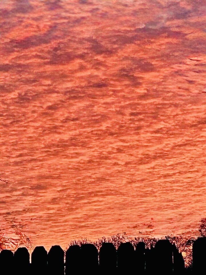 JoshFitzWx's tweet image. A batch of altocumulus clouds illuminates the morning sky. Dry weather is expected on this Sunday. The next rain will arrive Tuesday through Wednesday morning. Have a great day! 🌅 🌧️