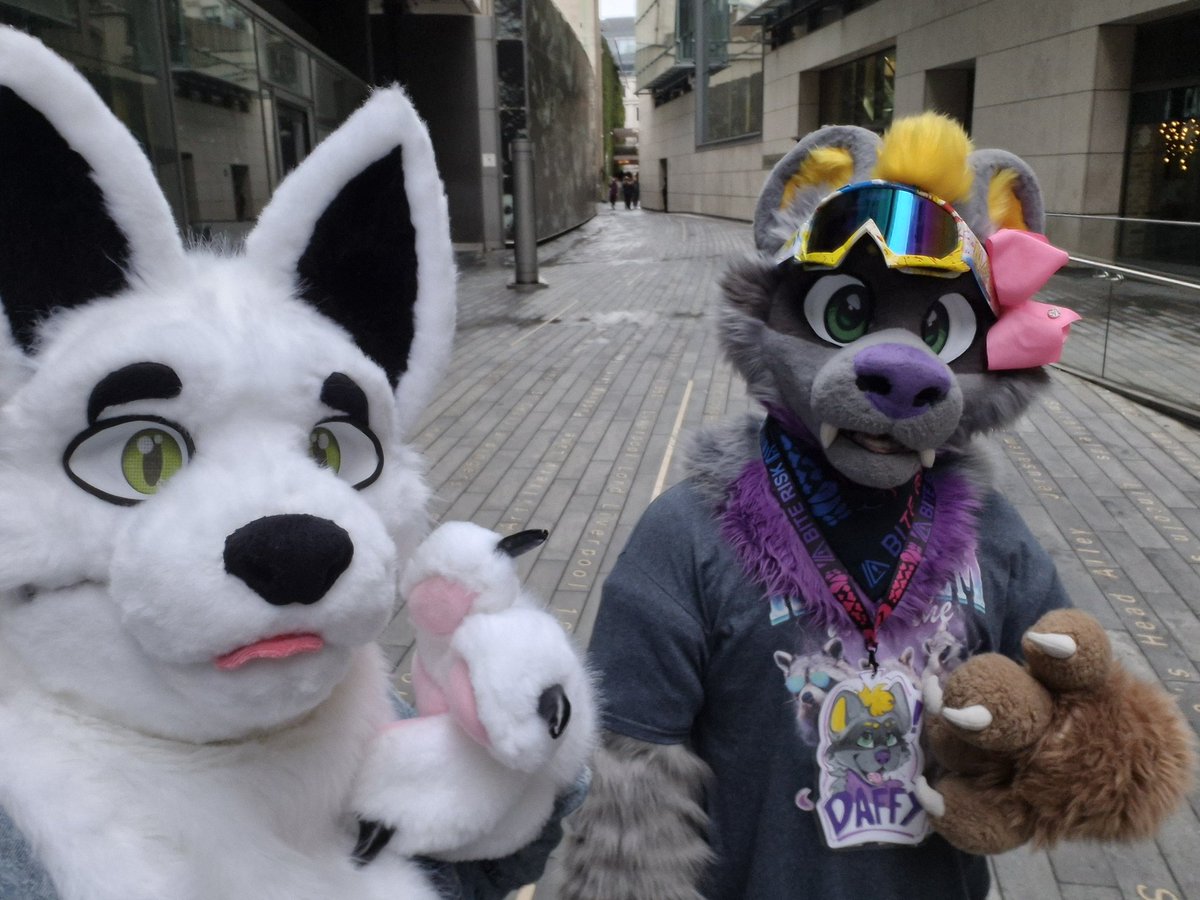 ❄️Orion the Arctic Fox🩵 tweet media