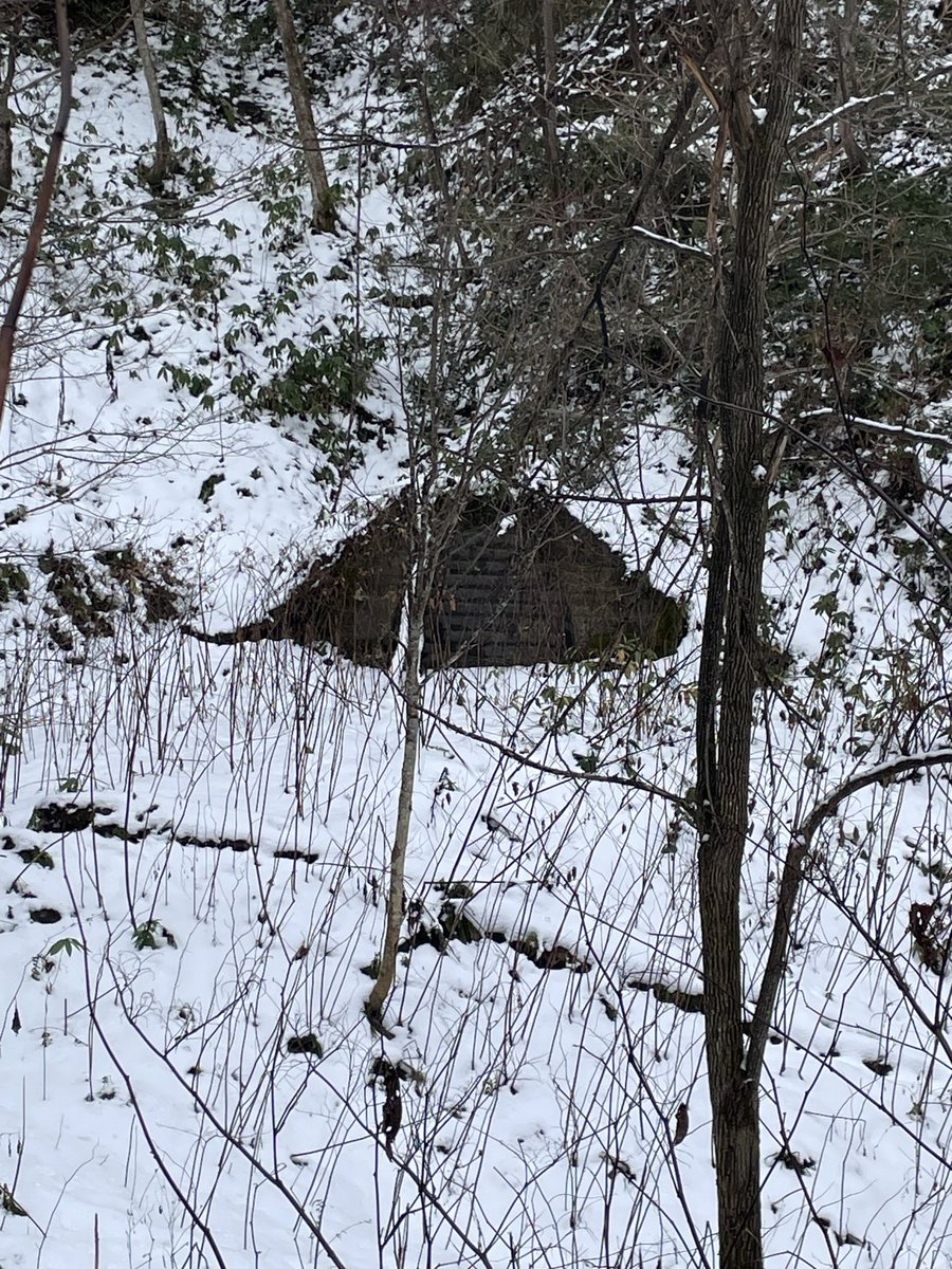 西 factory (@KDbV2ogSfZI1imn) / Posts / X